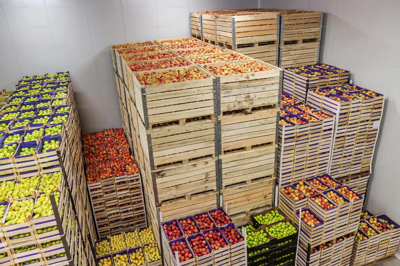 Cagettes de fruits et légumes frais