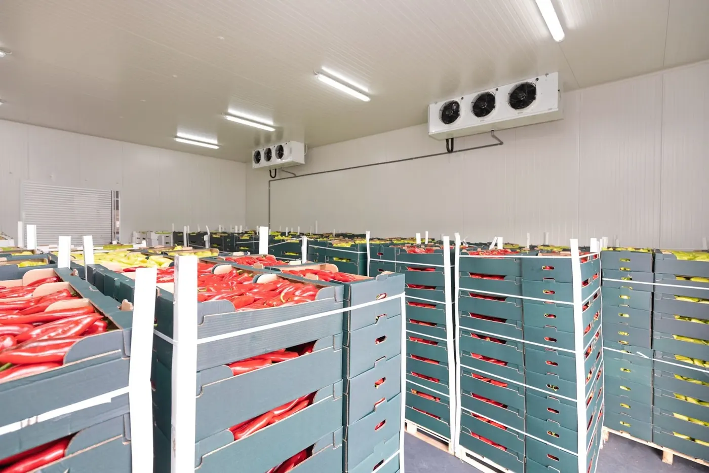 Chambre froide avec caisses de produits